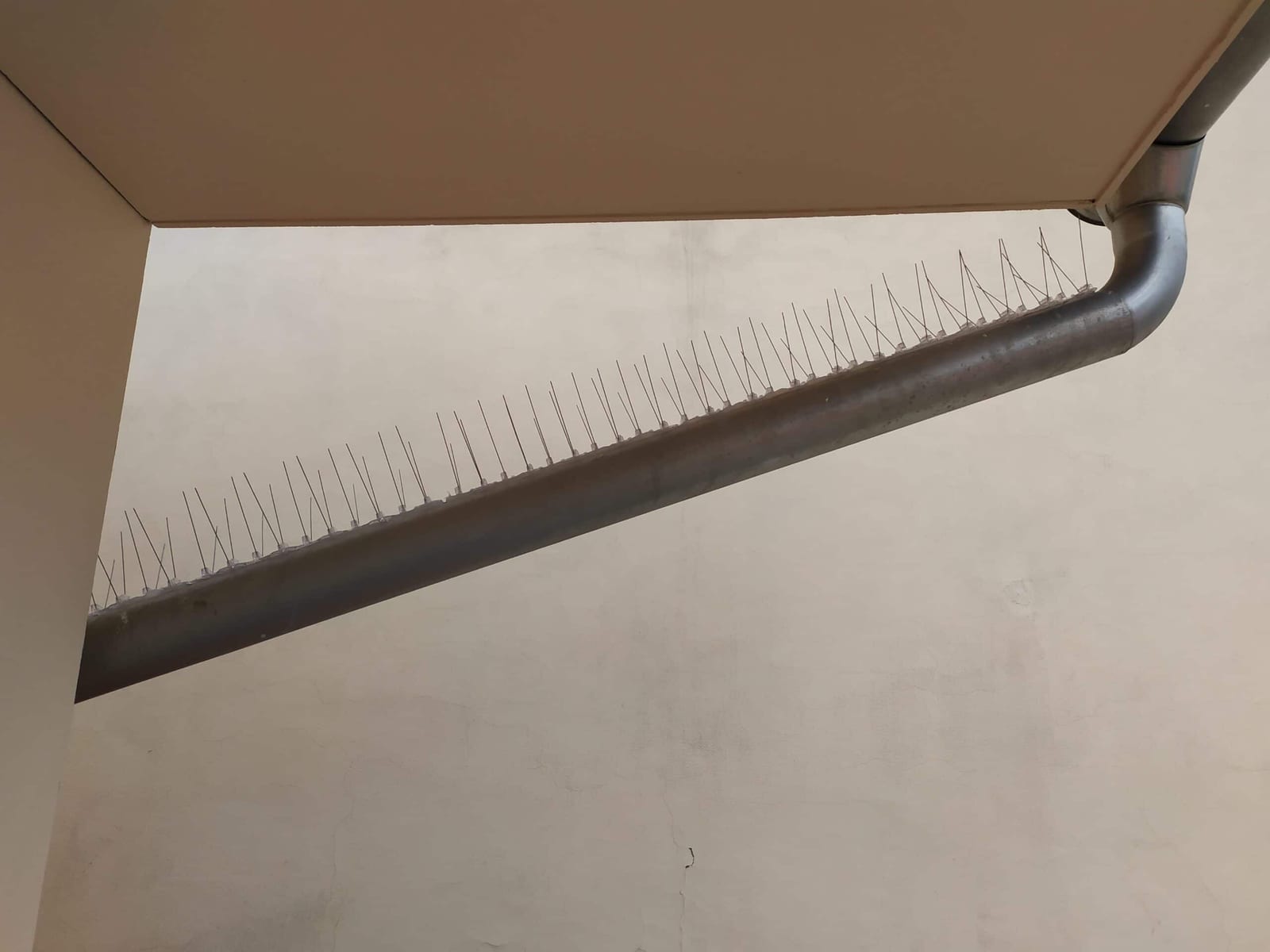 Hroty proti holubům na svodu okapu