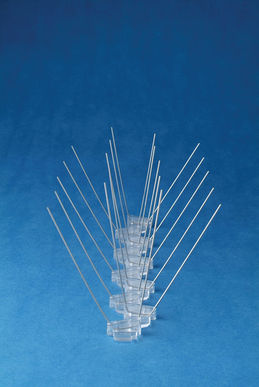 Hroty proti holubům – střední typ