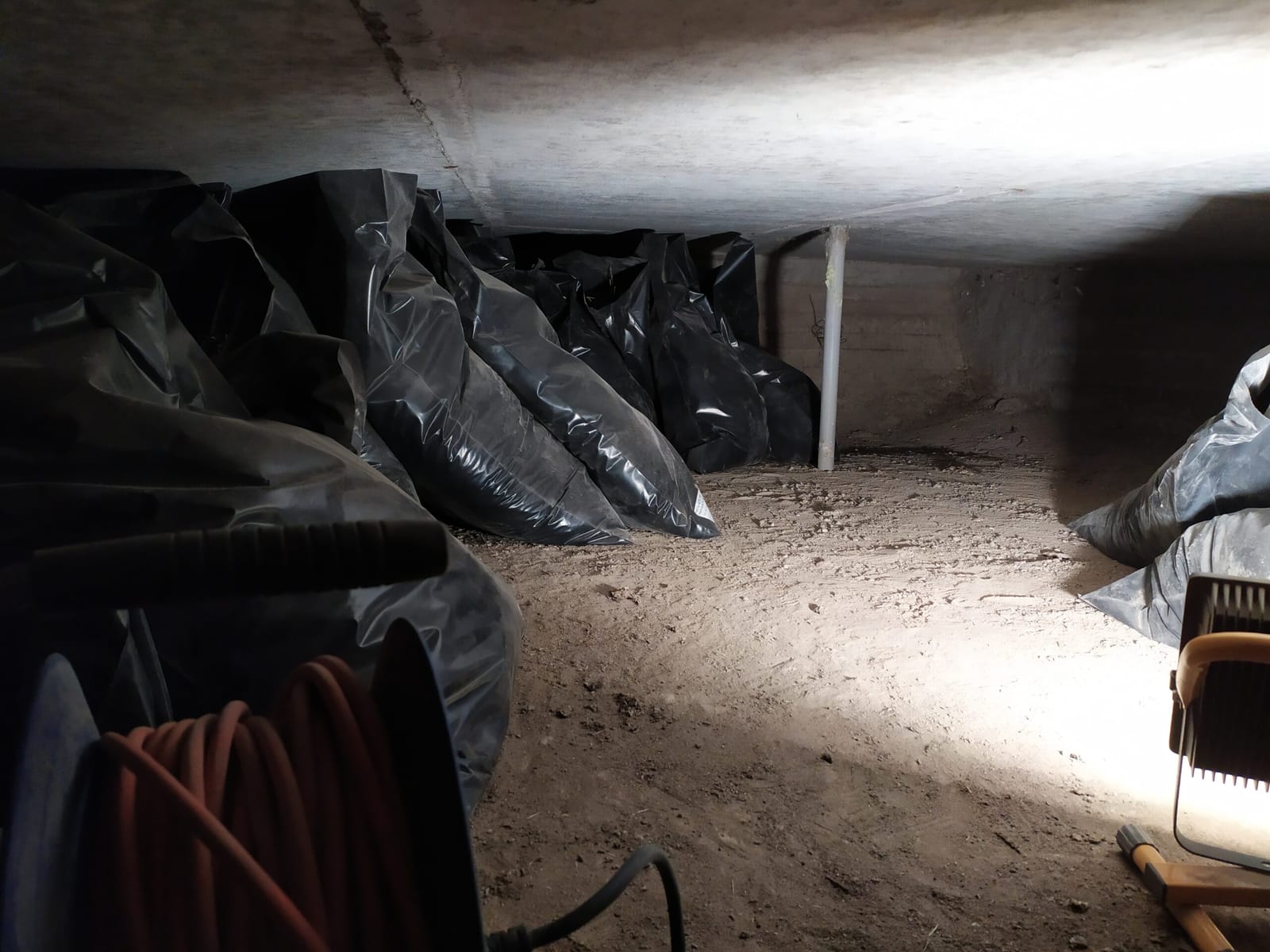 Sanace prostor po holubech